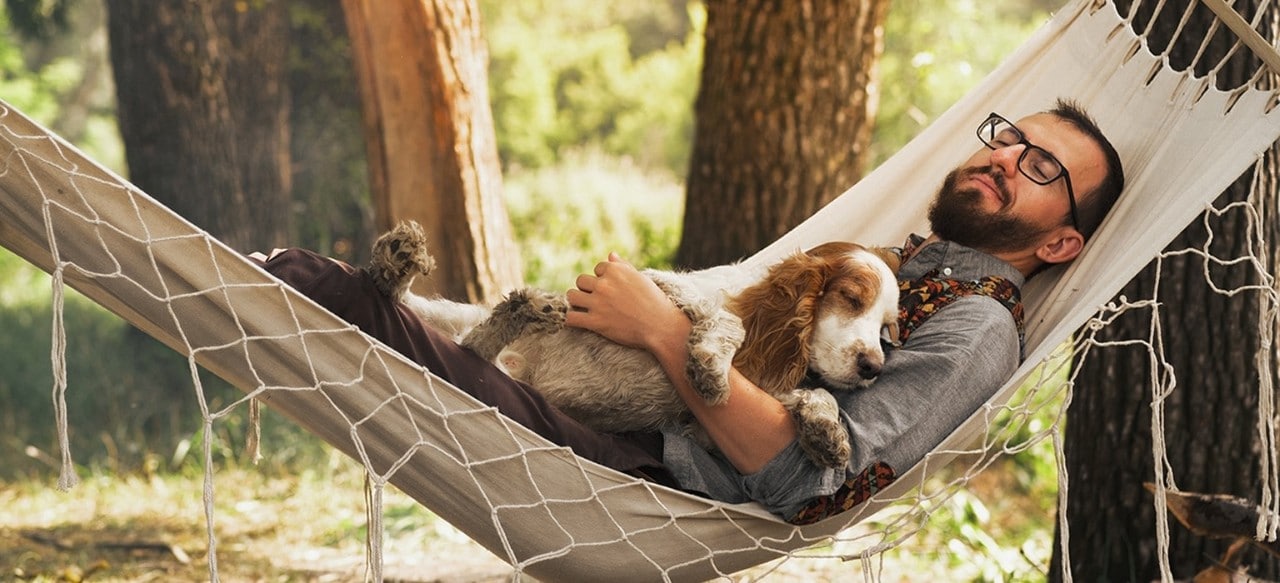 A man and his dog relax in a hammock