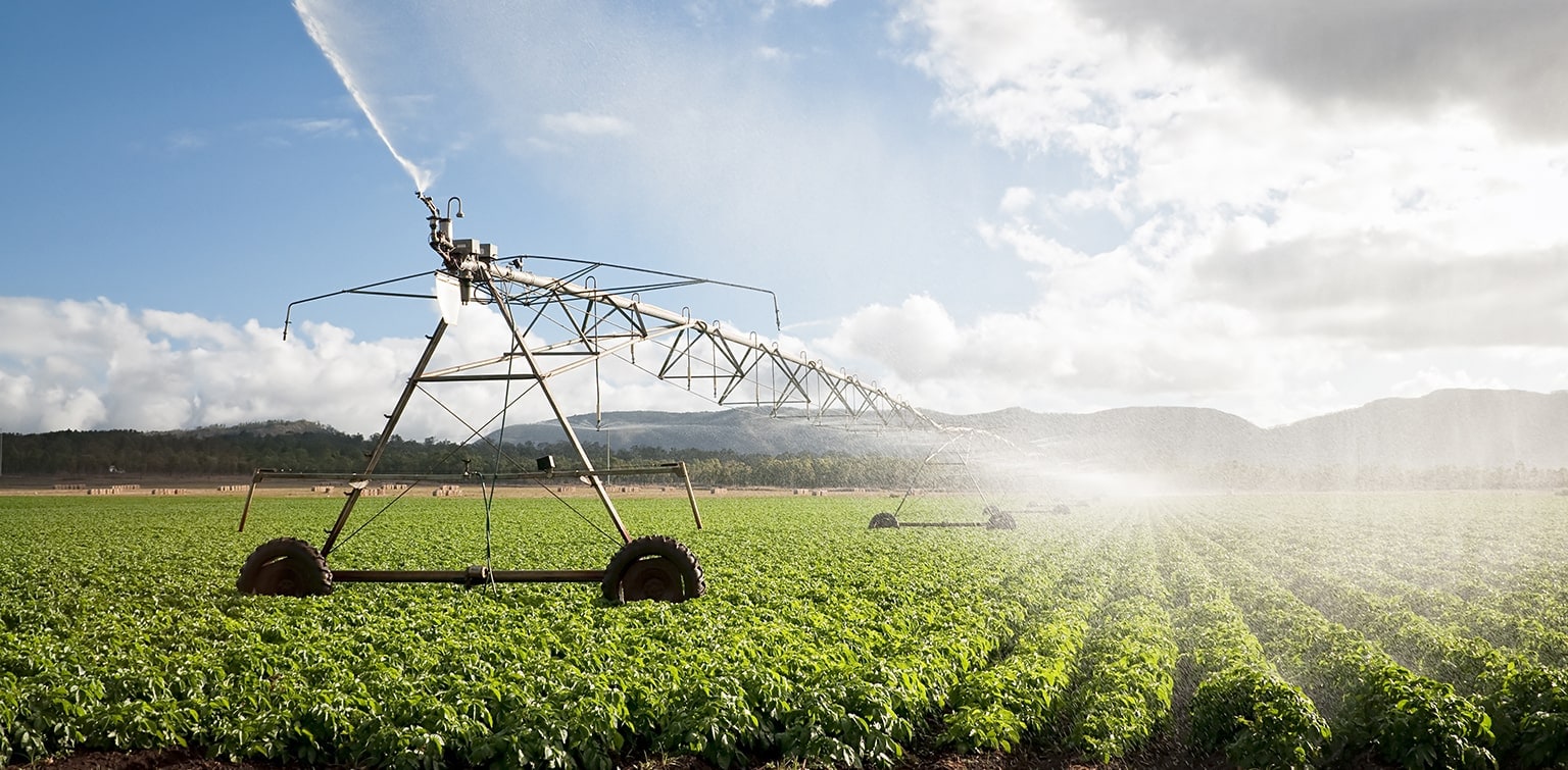 An irrigation machine spraying water on a large field